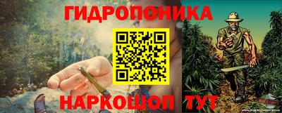 кокс Ачхой-Мартан