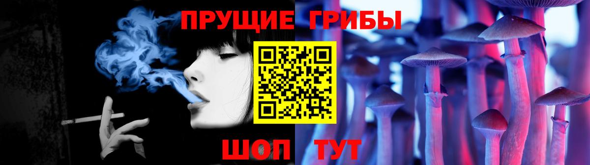 Богородицк  Галлюциногенные грибы мицелий  Вход с VPN 